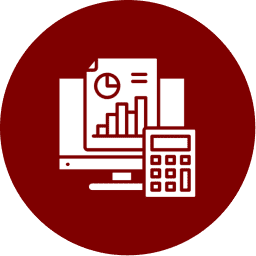 Business Accounting and CFO Services